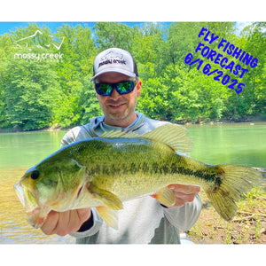 Mossy Creek Fly Fishing Forecast 6/16/2025