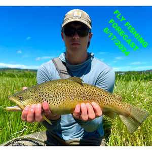 Mossy Creek Fly Fishing Forecast 6/17/2024