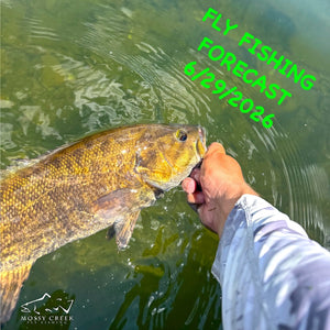 Mossy Creek Fly Fishing Forecast 6/29/2026