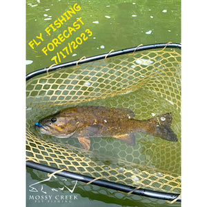 Mossy Creek Fly Fishing Forecast 7/17/2023