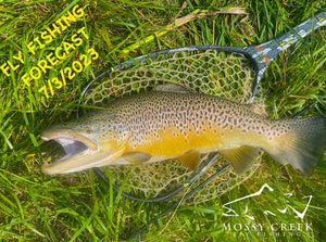 Mossy Creek Fly Fishing Forecast 7/3/2023