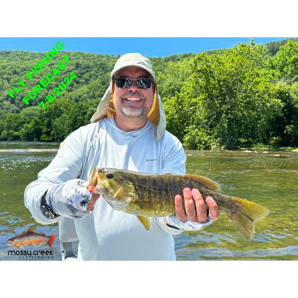 Mossy Creek Fly Fishing Forecast 7/8/2024 | Mossy Creek Fly Fishing