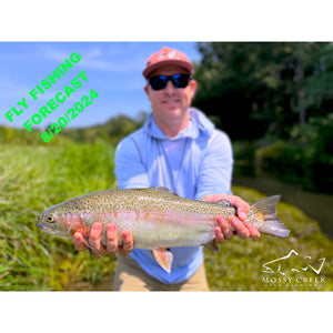 Mossy Creek Fly Fishing Forecast 8/20/2024