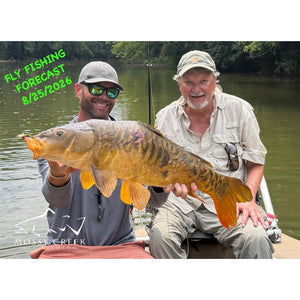Mossy Creek Fly Fishing Forecast 8/25/2026