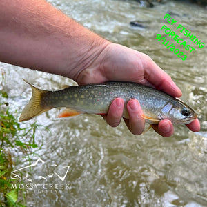 Mossy Creek Fly Fishing Forecast 9/11/2023