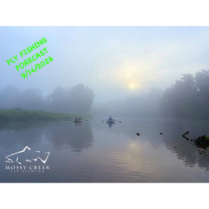 Mossy Creek Fly Fishing 9/14/2026
