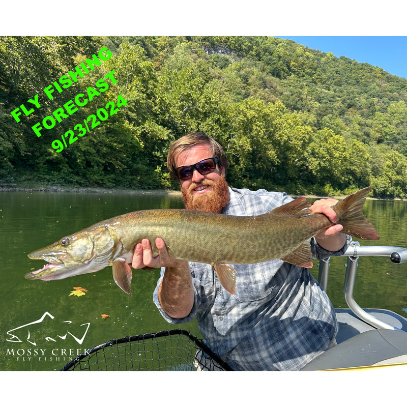 Mossy Creek Fly Fishing Forecast 9/23/2024 Mossy Creek Fly Fishing