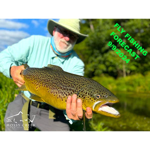 Mossy Creek Fly Fishing Forecast 9/9/2024