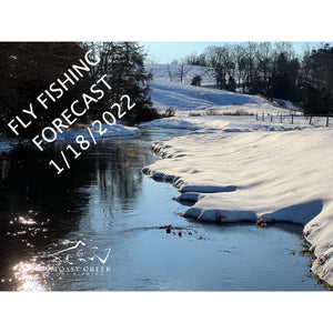 Mossy Creek Fly Fishing Forecast 1/18/2022
