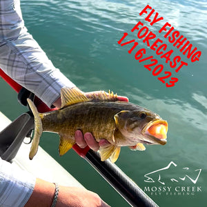 Mossy Creek Fly Fishing Forecast 1/16/2023