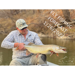 Mossy Creek Fly Fishing Forecast 1/26/2022