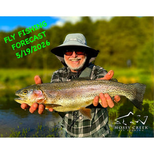 Mossy Creek Fly Fishing Forecast 5/19/2026