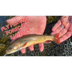 Mossy Creek Fly Fishing Forecast 5/15/2023