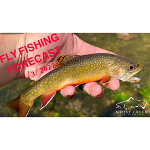 Mossy Creek Fly Fishing Forecast 5/3/2022