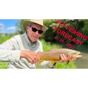 Mossy Creek Fly Fishing Forecast 8/29/2022