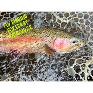 Mossy Creek Fly Fishing Forecast 4/26/2022