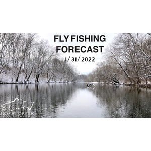 Mossy Creek Fly Fishing Forecast 1/31/2022