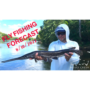 Mossy Creek Fly Fishing Forecast 8/10/2022