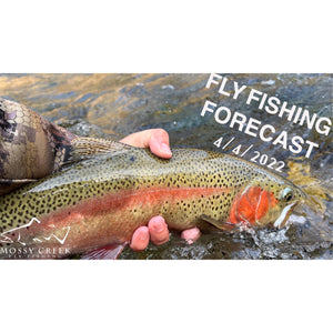 Mossy Creek Fly Fishing Forecast 4/4/2022