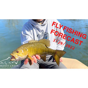 Mossy Creek Fly Fishing Forecast 3/28/2022