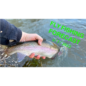 Mossy Creek Fly Fishing Forecast 3/7/2022