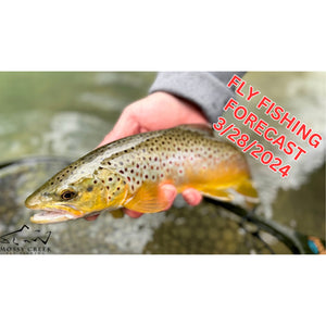 Mossy Creek Fly Fishing Forecast 10/16/2023