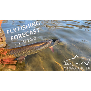Mossy Creek Fly Fishing Report 1/6/2022