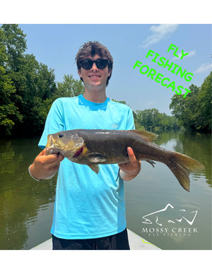 Mossy Creek Fly Fishing Forecast 8/3/2026