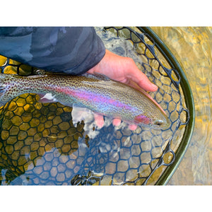 Mossy Creek Fly Fishing Forecast 2/8/2021