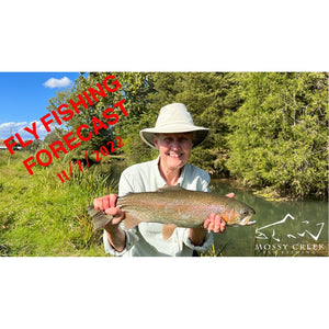 Mossy Creek Fly Fishing Forecast 11/7/2022