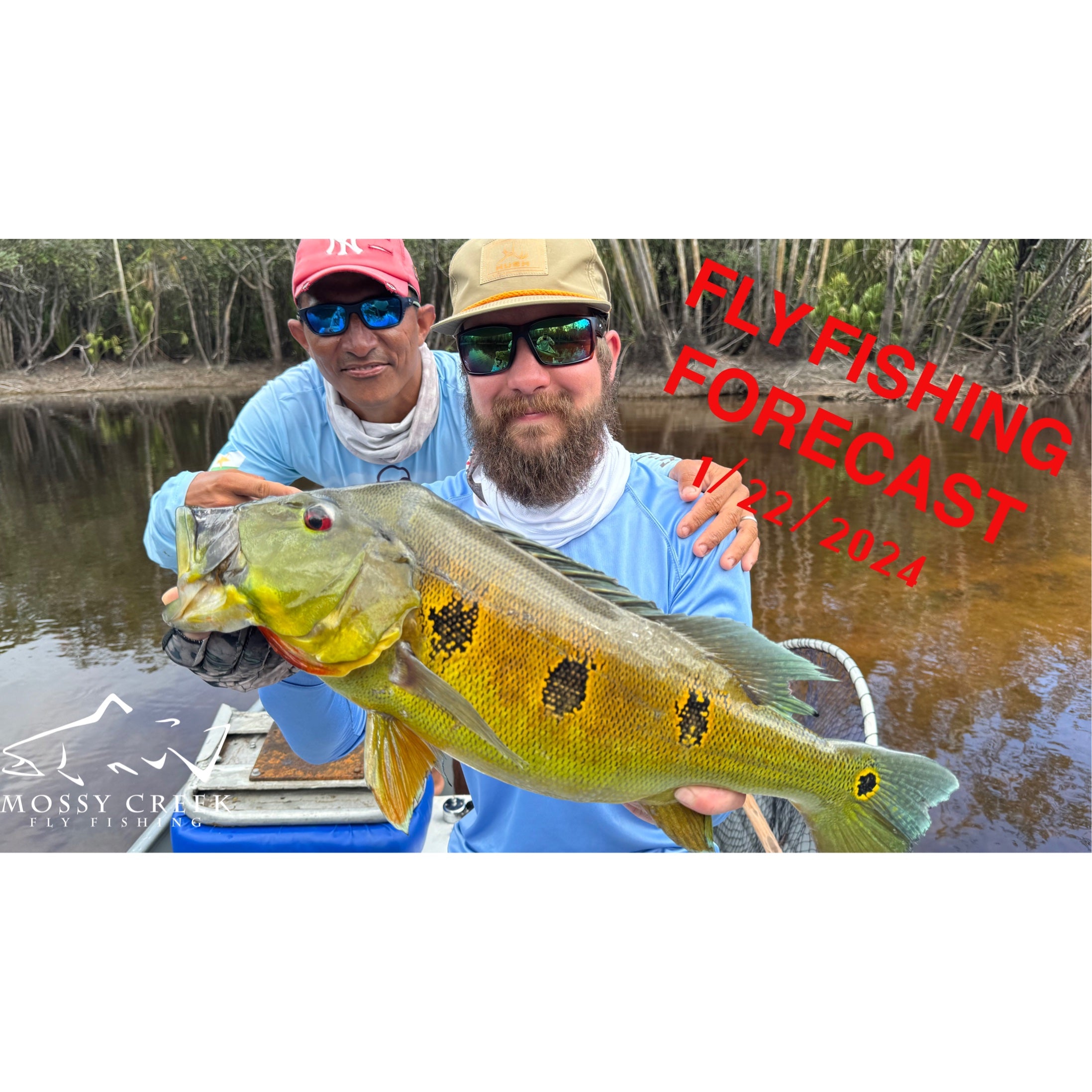 Mossy Creek Fly Fishing Forecast 1/22/2024 Mossy Creek Fly Fishing