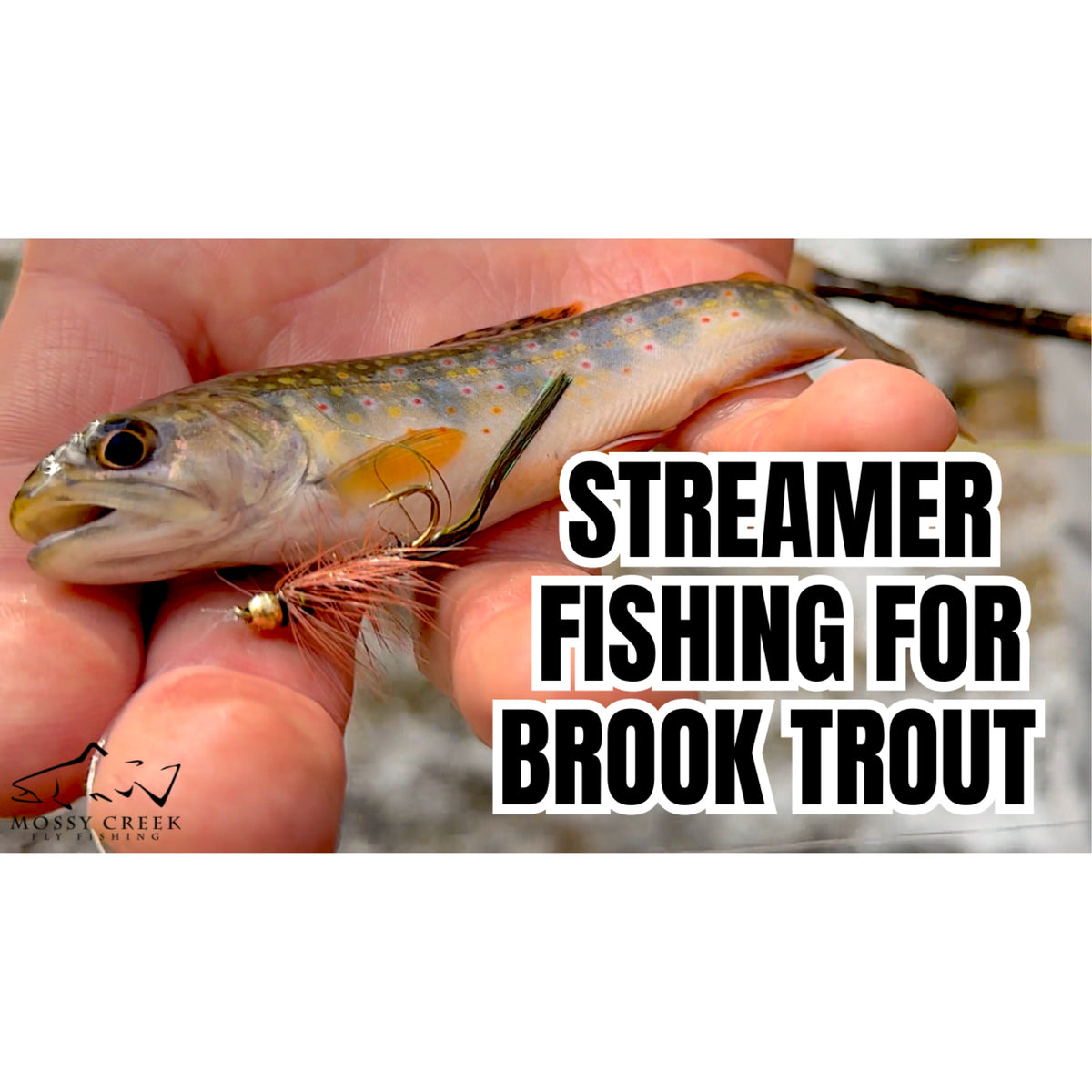 Fly Fishing Untangled Episode 4