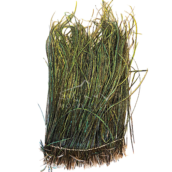 Peacock Herl Large Pack