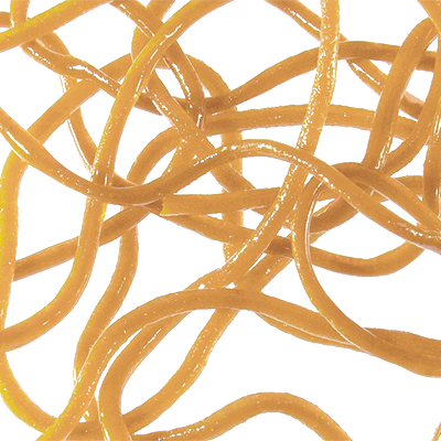 Trina's Squirm Material Medium