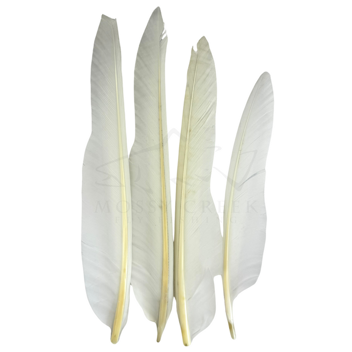 Duck Quills (2 matched pair)