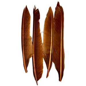 Duck Quills (2 matched pair)