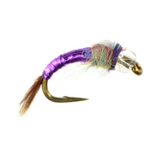 Rainbow Warrior Purple