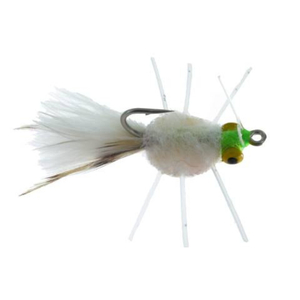 Raghead Crab White with Yellow Eyes