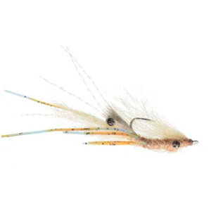 Scratchy Mantis Shrimp Lead Eye