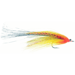 Flashtail Whistler Orange and Yellow
