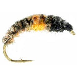 Hotspot Czech Nymph Tan Orange