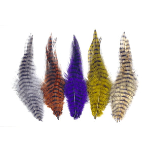 Barred Strung Saddle Hackle, barred saddle hackle