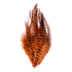 Barred Strung Saddle Hackle