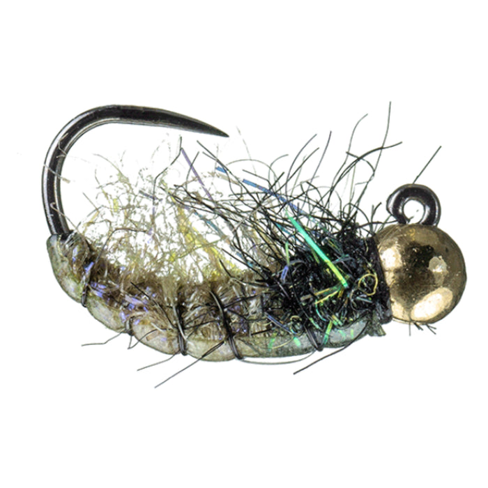 Jig Caddis Pupa Uv Olive