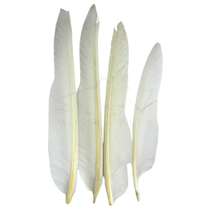 Duck Quills (2 matched pair), fly tying feathers