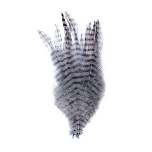 Barred Strung Saddle Hackle