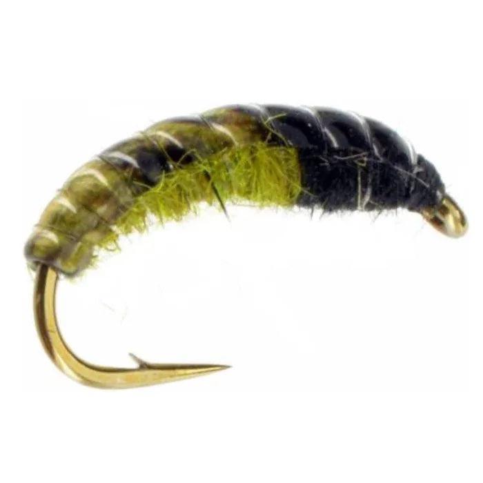 Hotspot Czech Nymph Caddis Olive, caddis larva nymph by North Country Flies