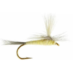 Parachute Pale Morning Dun