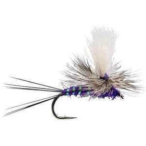 ParaWulff Purple