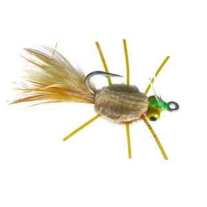 Raghead Crab Tan with Yellow Eyes